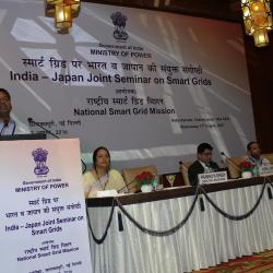 India-Japan Seminar on Smart Grids (2)