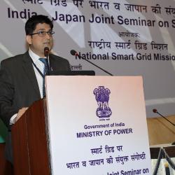 India-Japan Seminar on Smart Grids (3)