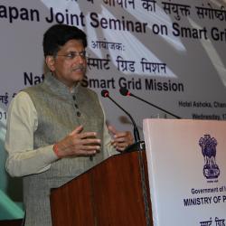 India-Japan Seminar on Smart Grids (4)