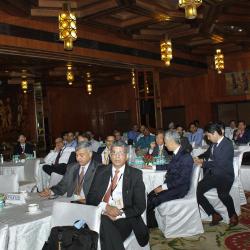 India-Japan Seminar on Smart Grids (8)